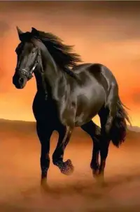 Hình nền Nền Biểu Hiện 3d Tuyệt đẹp Của Một Vẻ đẹp Ngựa đen Nền, Ngựa Chạy,  Bạch Mã, Nền Ngựa Background Vector để tải xuống miễn phí - Pngtree