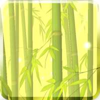Bamboo Forest Free L.Wallpaper on 9Apps
