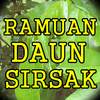 Ramuan Herbal Daun Sirsak Yang Terbukti Ampuh