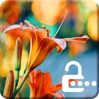 Flowers Blossom Lily Wallpaper Theme Screen Lock