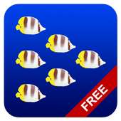 Fish swarm Live Wallpaper FREE on 9Apps