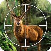 Deer, Bear, Tiger Hunting 2016