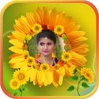 Sunflower Photo frames