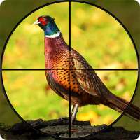 Pheasant Shooter: Crossbow Birds Hunting FPS Games