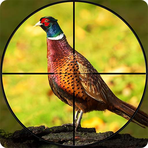 Pheasant Shooter: Crossbow Birds Hunting Games