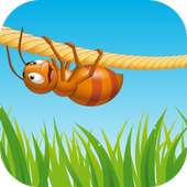 Bug Rope Fun Kids Game No Ads