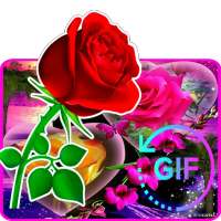 Wonderful Flowers Roses Animated images Gif