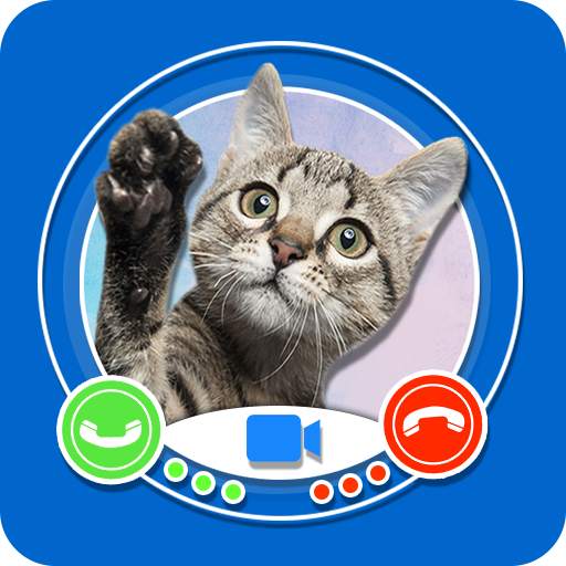 Cat Video Call - Cat Fake Video Call 2020