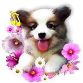 Cute Puppies live wallpaper on 9Apps