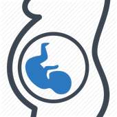 Pregnancy Due Date Calculator