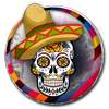 Day Of The Dead Photo Editor on 9Apps