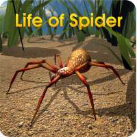 Life of Spider on 9Apps