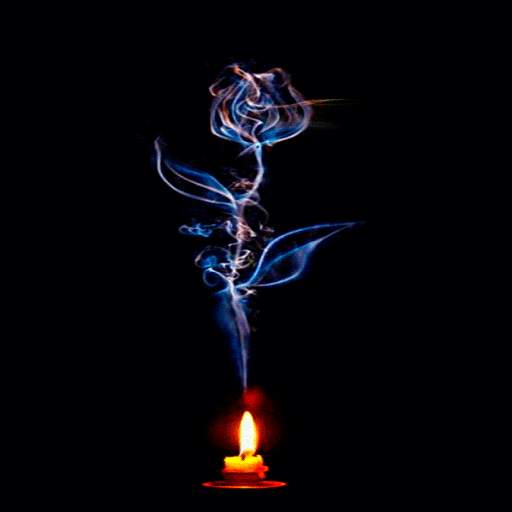Candle Flower Live Wallpaper