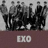 Best Songs EXO (No Permission Required) on 9Apps