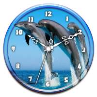 Dolphin Clock Live Wallpaper