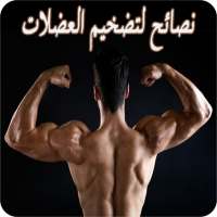 نصائح لتضخيم العضلات on 9Apps