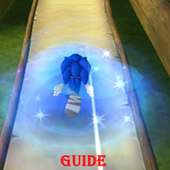 Guide for Sonic Dash 2 Boom