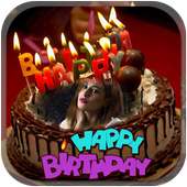 Birthday Photo Frame HD- Photo frame editor suit on 9Apps