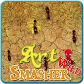 ANT Smasher Game