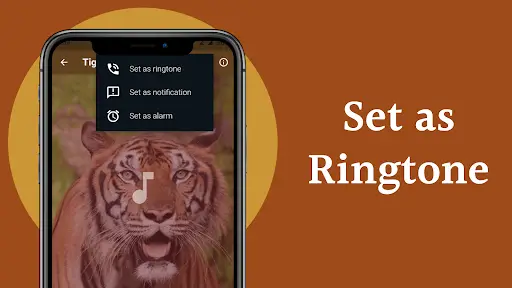Tiger Sounds На Андроид App Скачать - 9Apps