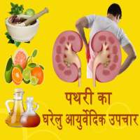 Kidney Stone(पथरी) Home Remedies Hindi on 9Apps