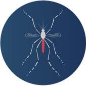 Dengue Control V 2 on 9Apps