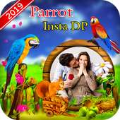 Parrot Insta DP on 9Apps