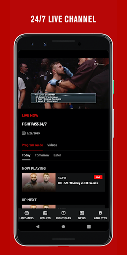 UFC screenshot 5