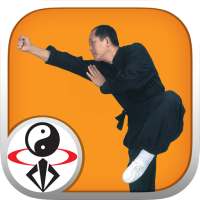 Shaolin Kung Fu on 9Apps