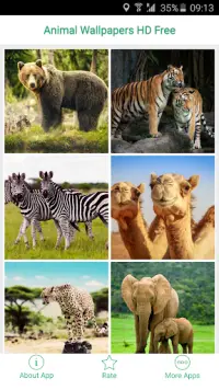 Animal Wallpapers HD Free APK Download 2023 - Free - 9Apps