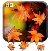 Autumn HD Live Wallpaper