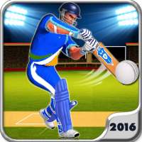 Cricket Master Blaster 2016 3D