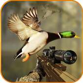 Birds Jungle Sniper Hunting