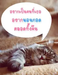 คำคมก่อนนอน ฝันดี App لـ Android Download - 9Apps