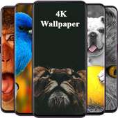 Zoo Wallpaper | Wild Animals