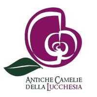 Borgo delle Camelie on 9Apps