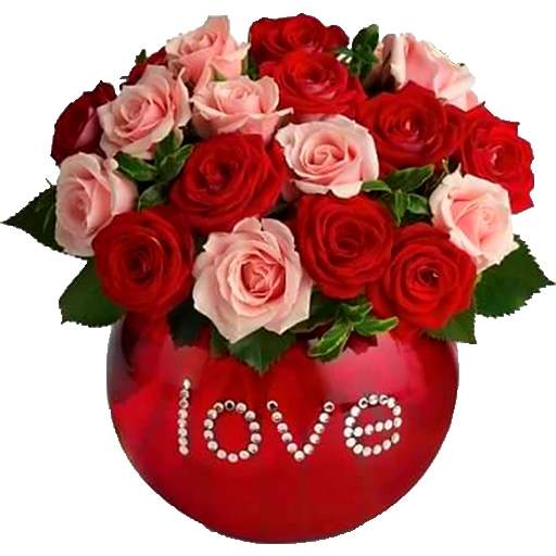 Romantic Flowers Images GiFt 🌹❤‎ 2020 🌺
