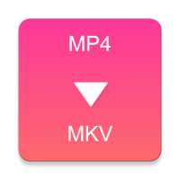 MP4 to MKV Converter