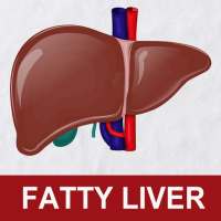 Fatty Liver Diet Healthy Foods & Hepatic Steatosis on 9Apps