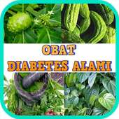 Obat Diabetes Alami Tradisional on 9Apps