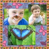 Collage di foto della farfalla on 9Apps