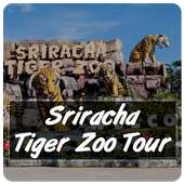 Sriracha Tiger Zoo Tour on 9Apps