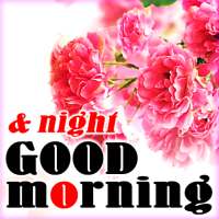 Good morning and night card on 9Apps