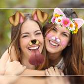 Face Swap-Collage Photo Editor on 9Apps