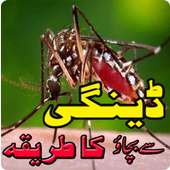 Dengue Treatment in Urdu on 9Apps