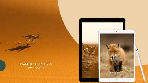 Fox Sounds APK Download 2023 - Free - 9Apps