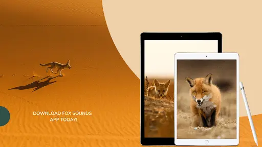 Fox Sounds APK Download 2023 - Free - 9Apps Fox Sounds APK Download 2023 - Free - 9Apps
