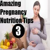 Pregnancy Nutrition Tips