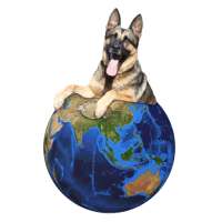 DOOGLE WORLD – Dog Training, Find Dog Trainers