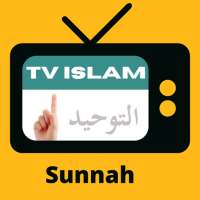 TV Islam Indonesia and Radio Dakwah Sunnah Channel